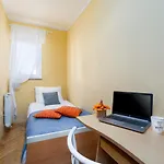 Apartament Radovan 1